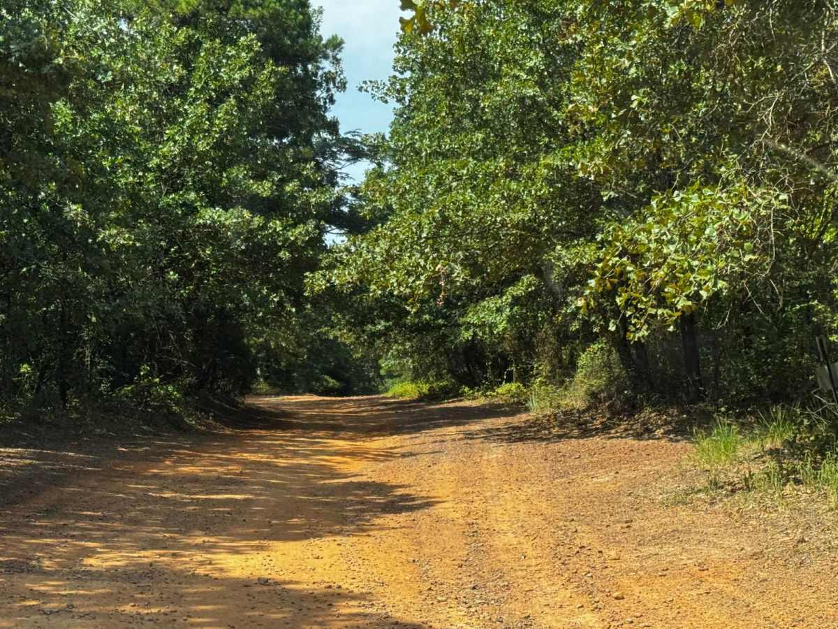 Southwest Main Road photo 3