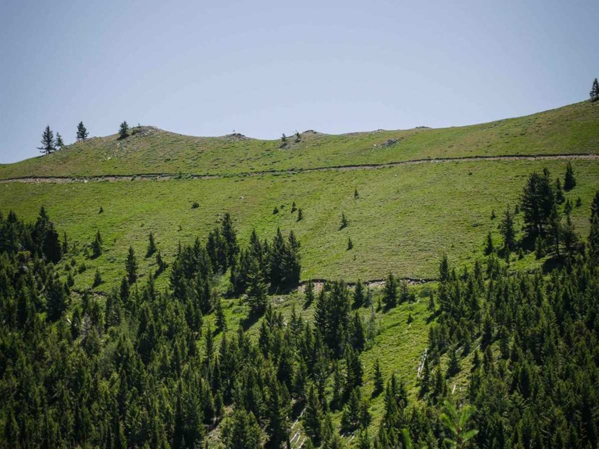 Kinsey Creek ATV Trail photo 3