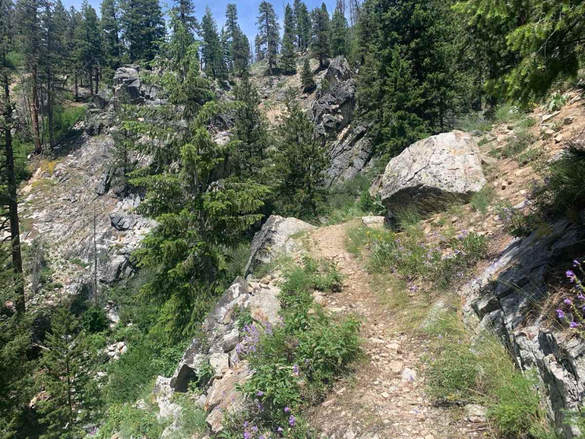 Crosscut South photo 3