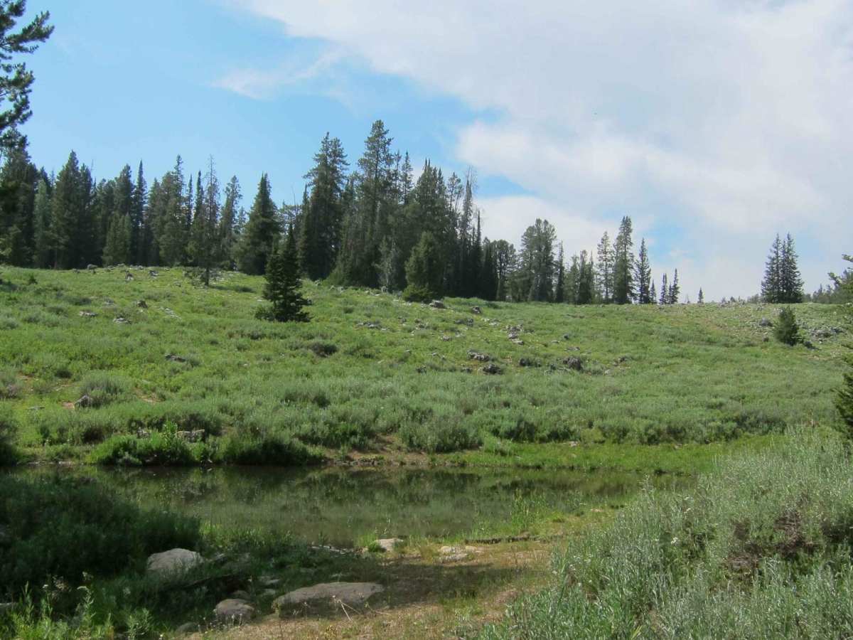 Old Logan Road trail photo