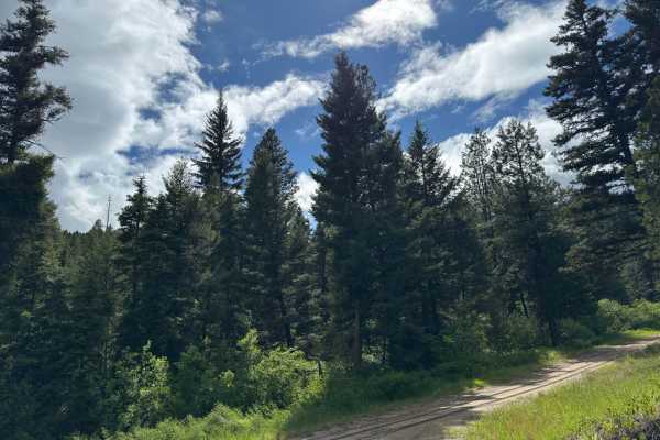 Upper Spoon Creek