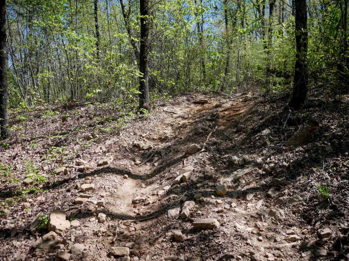 46 Connector trail photo