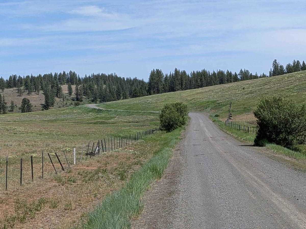 Wellamockin Road South NF46 photo 5