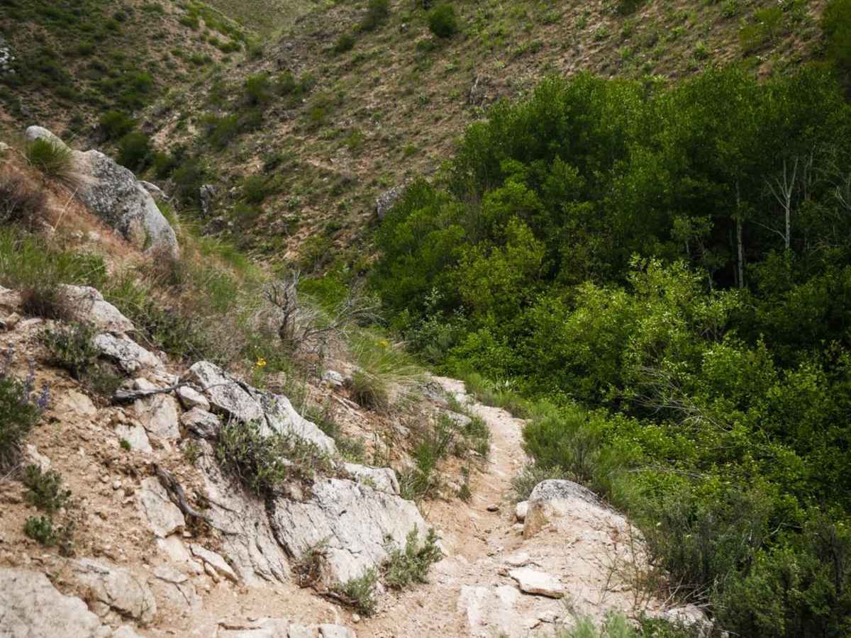 315 trail photo