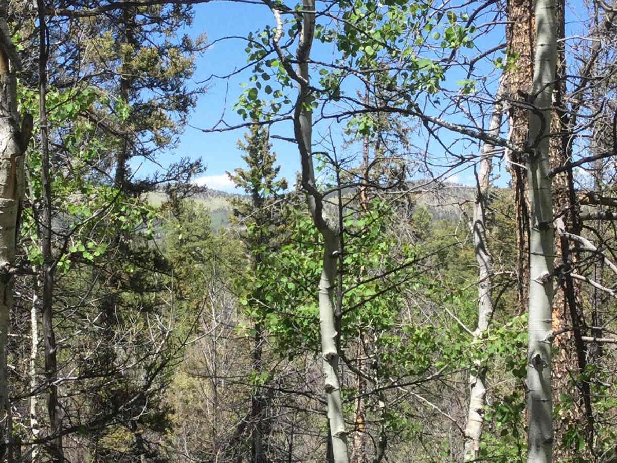 Castle Rock Gulch Road (188) photo 3
