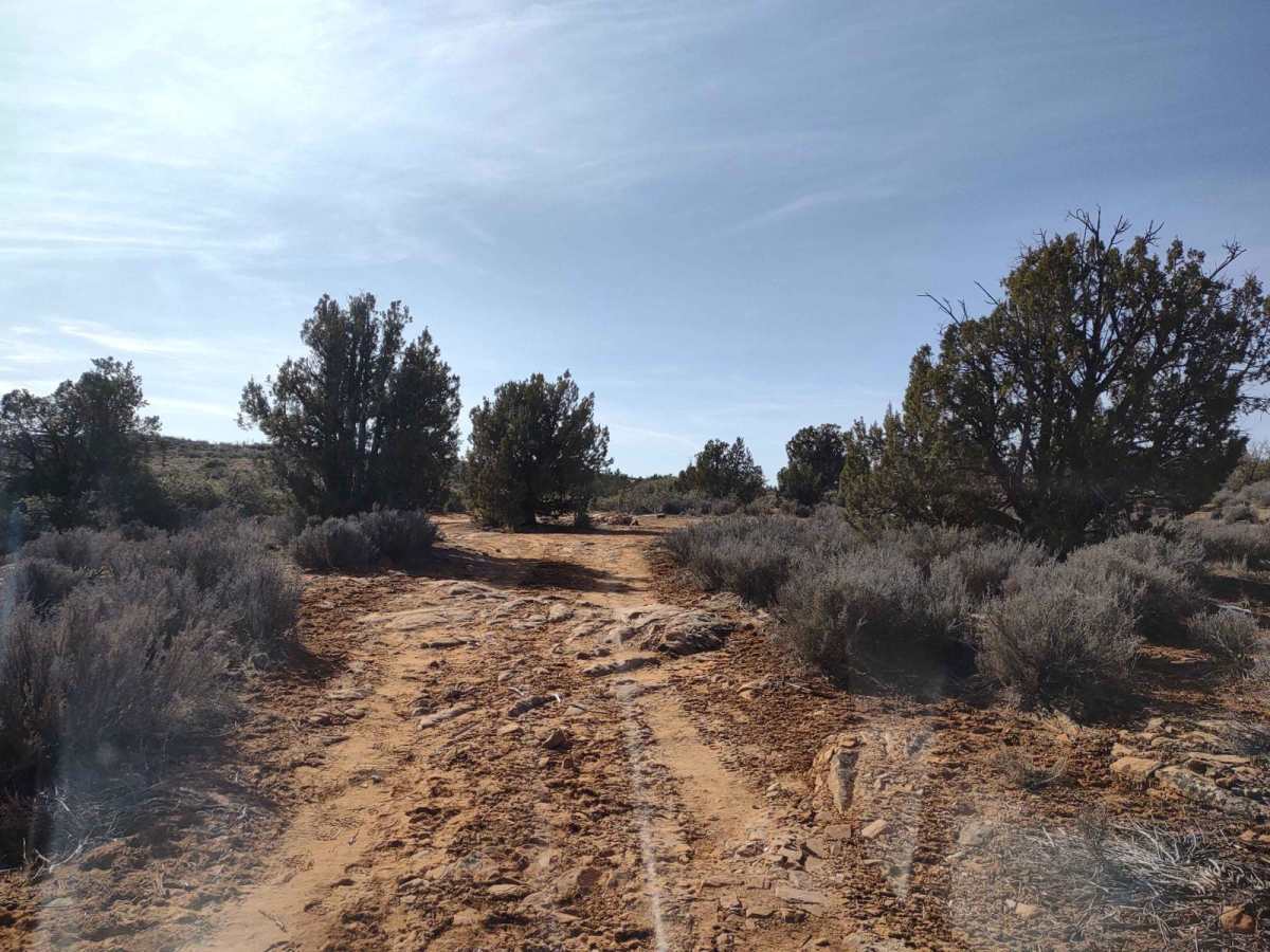 Leeds Creek - Cottonwood Vista Loop photo 4