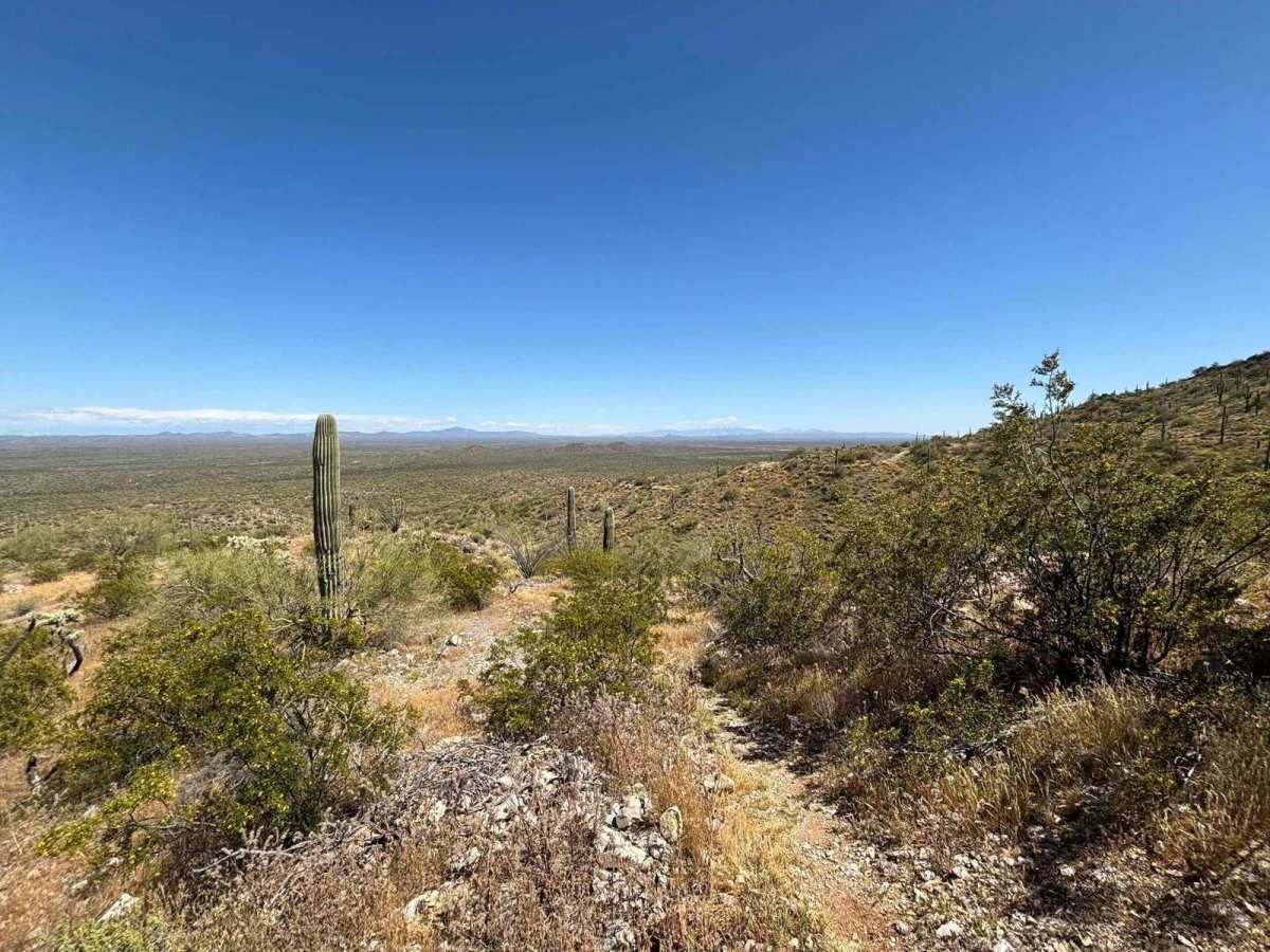 North Picacho Mountain Pass trail photo