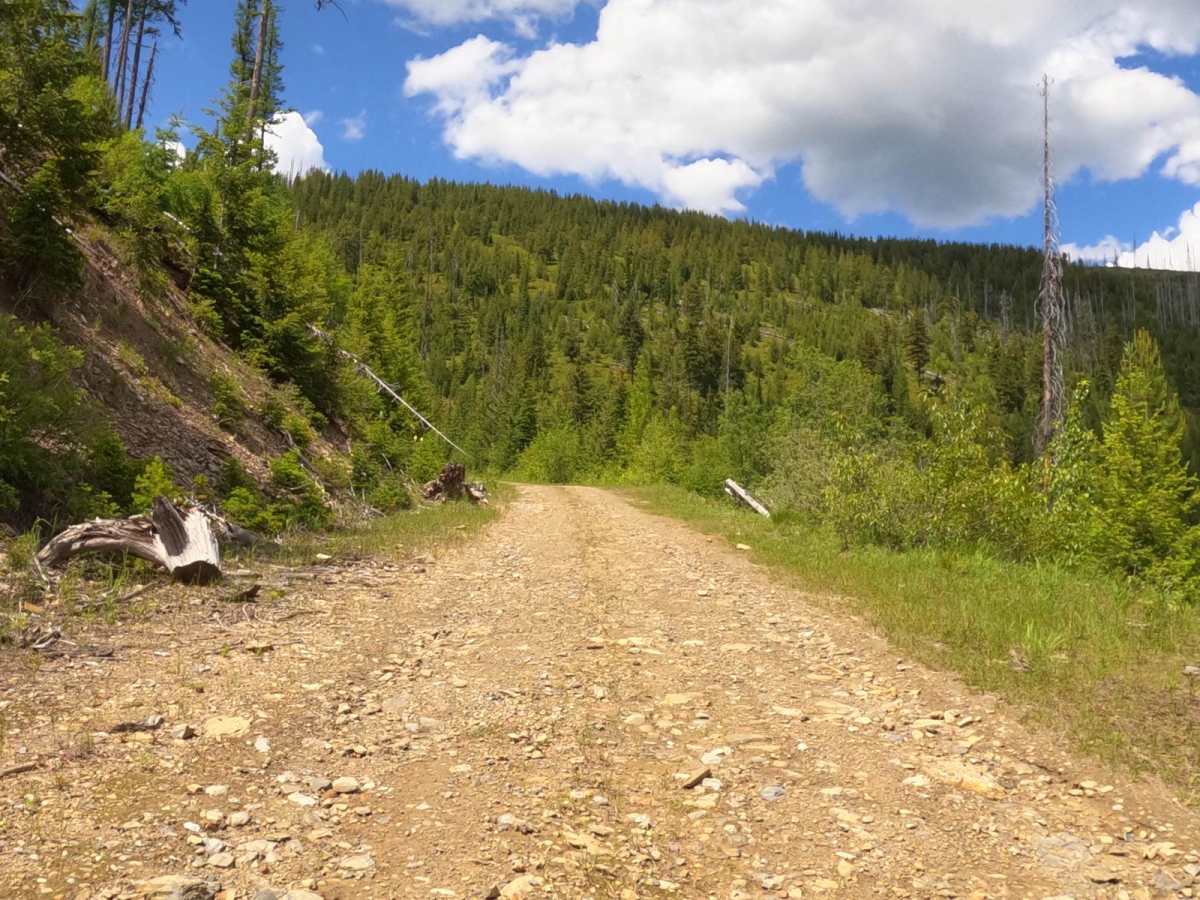 Johnson-First Creek Road-W.Side Ninemile Road photo 6