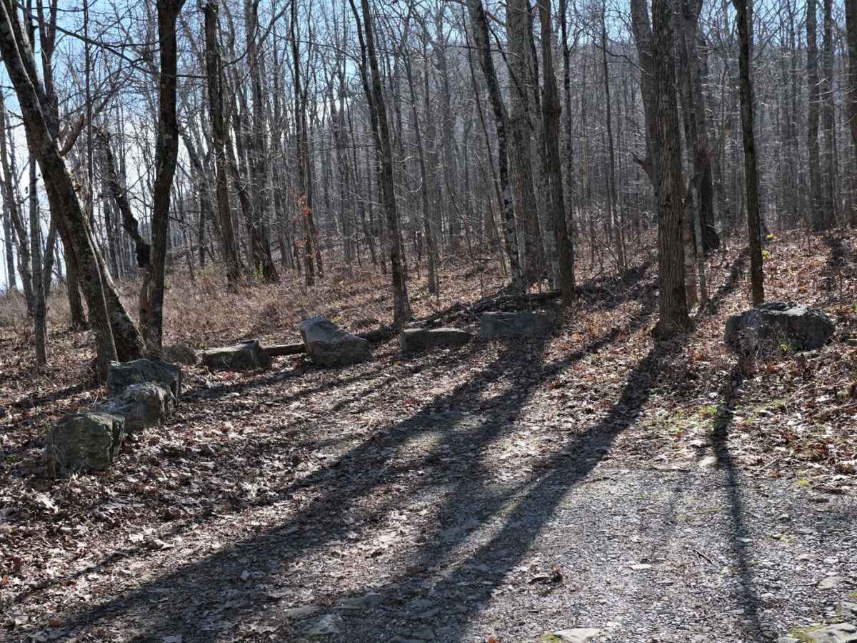 Overstreet Creek photo 5