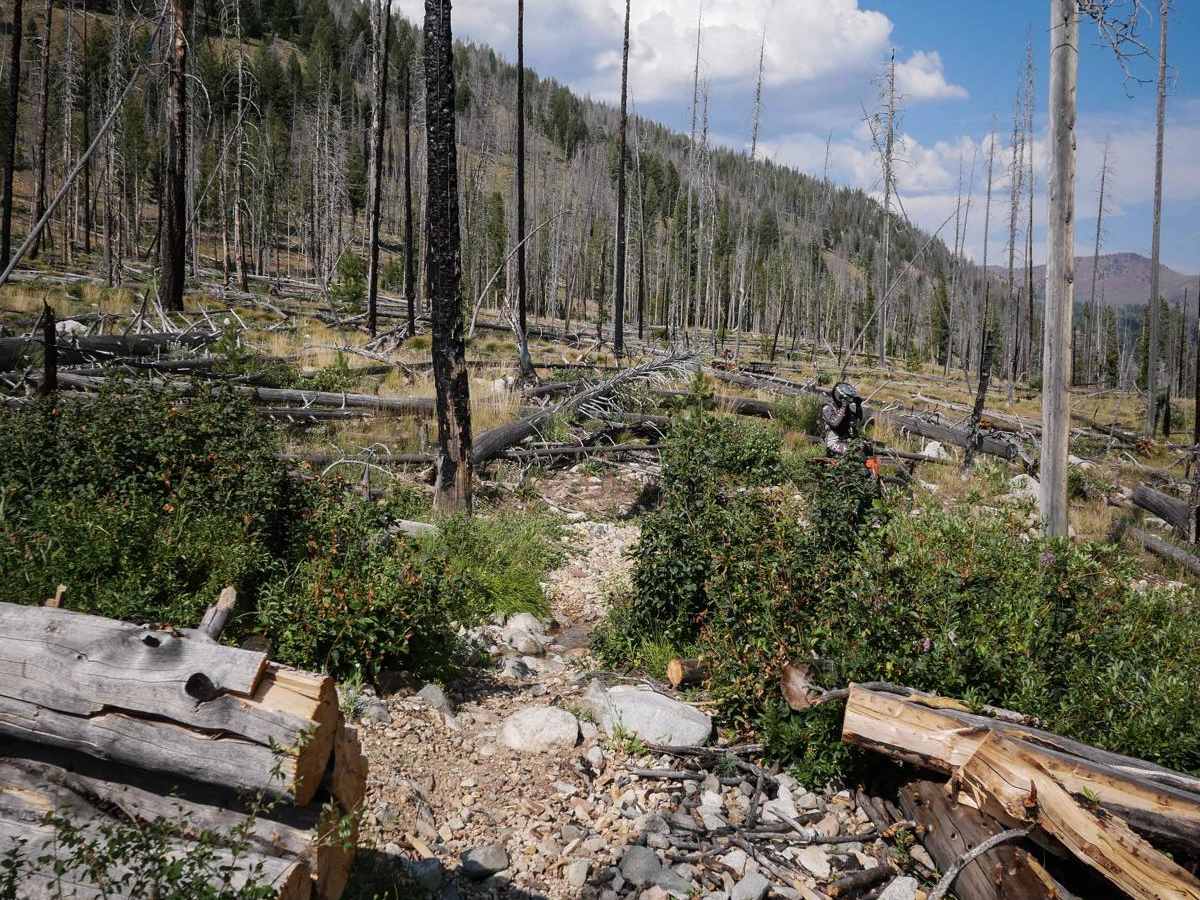 Westfork Yankee Fork photo 2