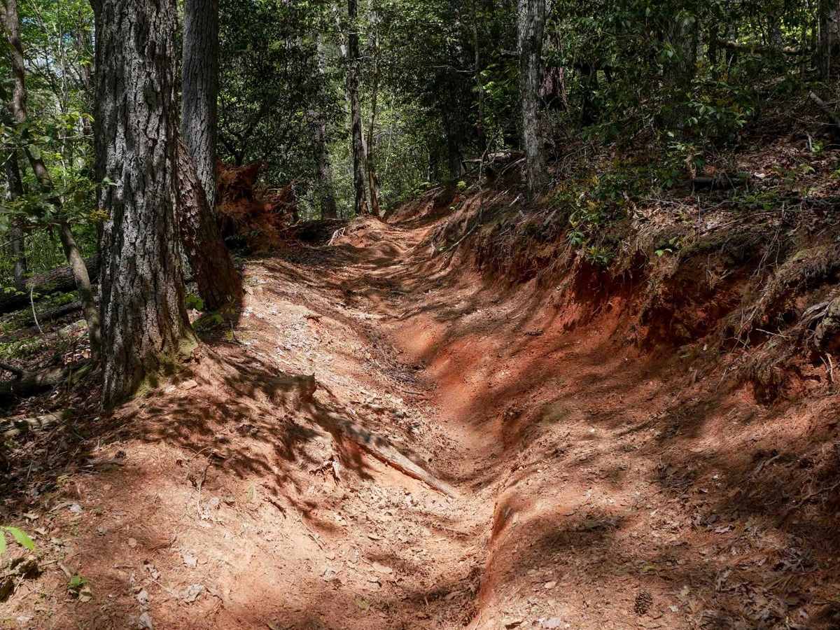 Sally Free Trail J photo 3