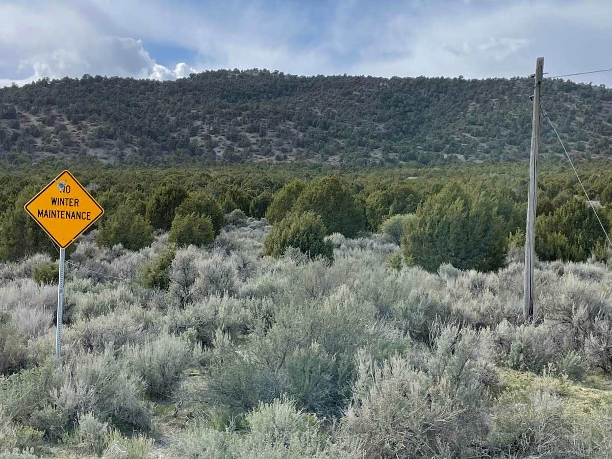 Harrison Pass photo 4