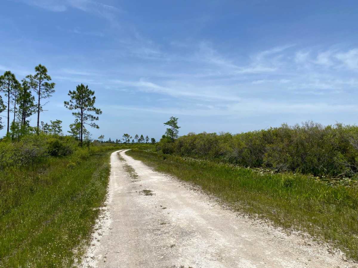 Tom Gunter Road photo 5