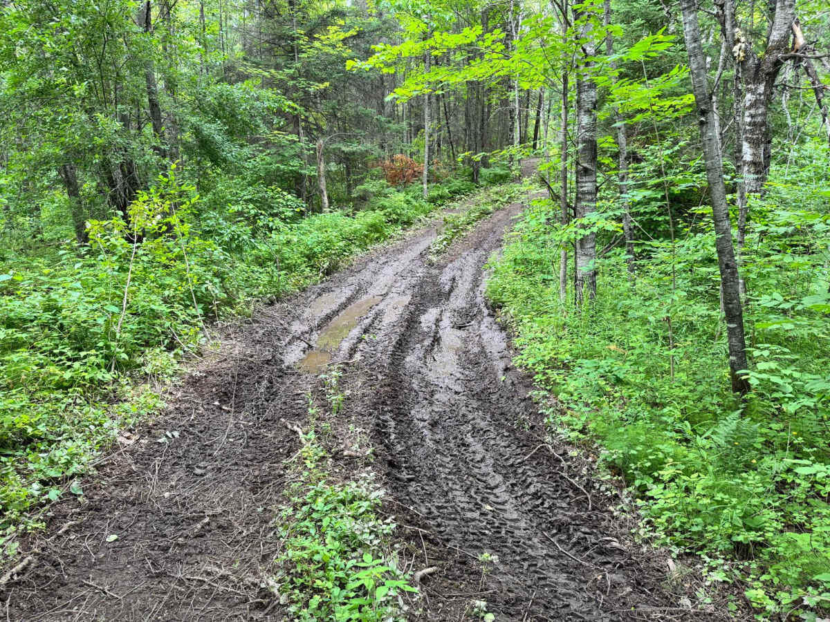 Rocky Start photo 6