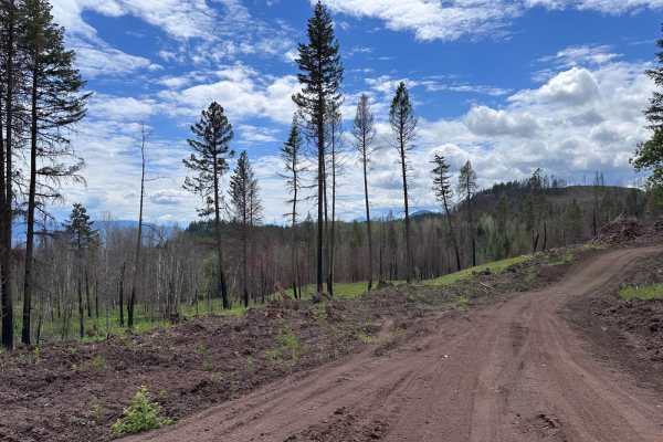 New Fire Road