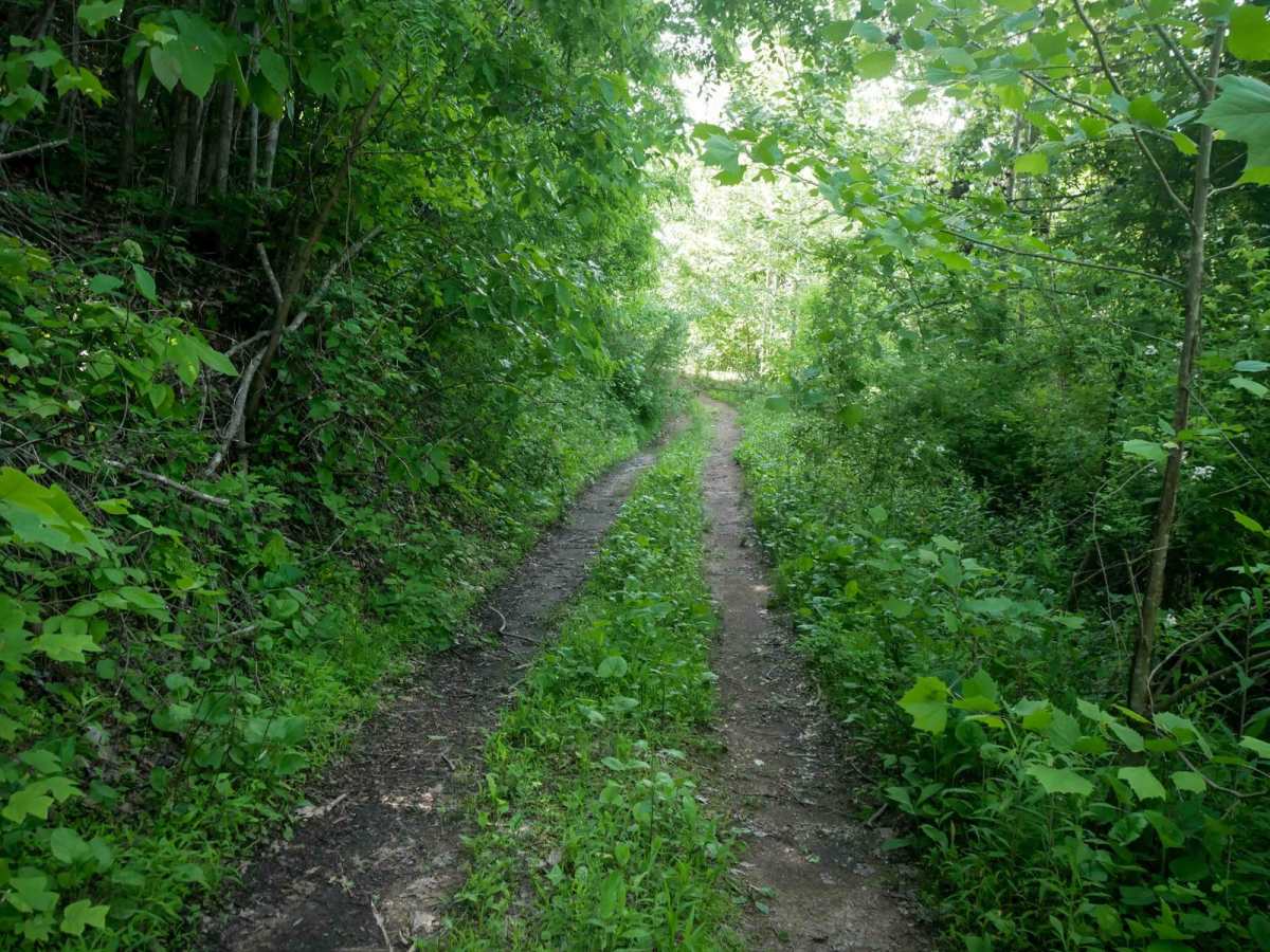 RV40 trail photo