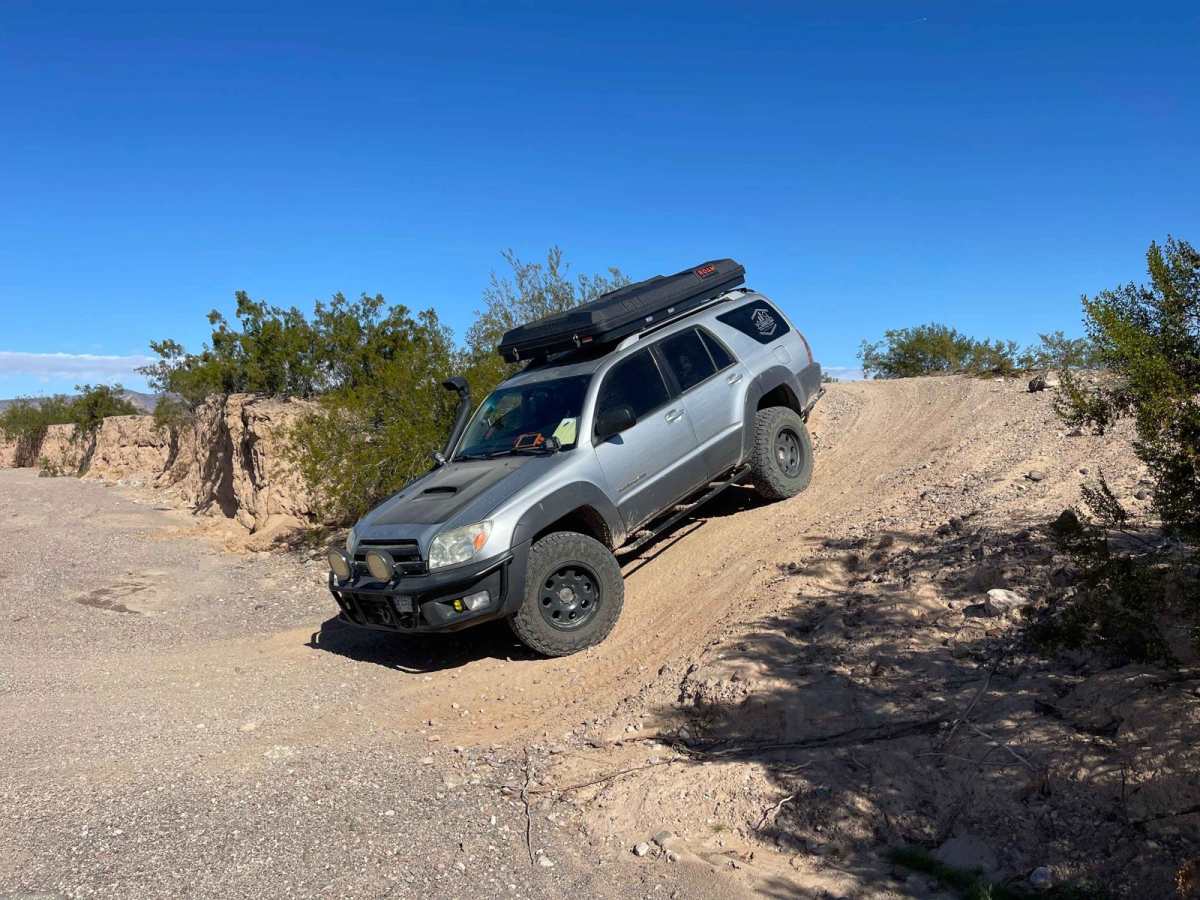AZ Peace Trail Cactus in the Road to Red Raven photo 6