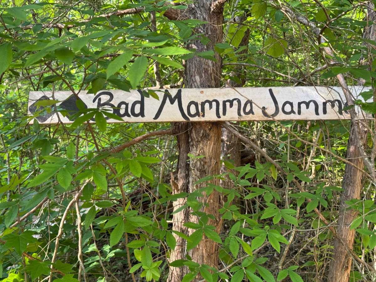 Bad Mamma Jamma trail photo