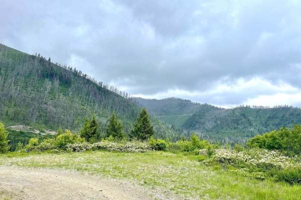 South Cottonwood