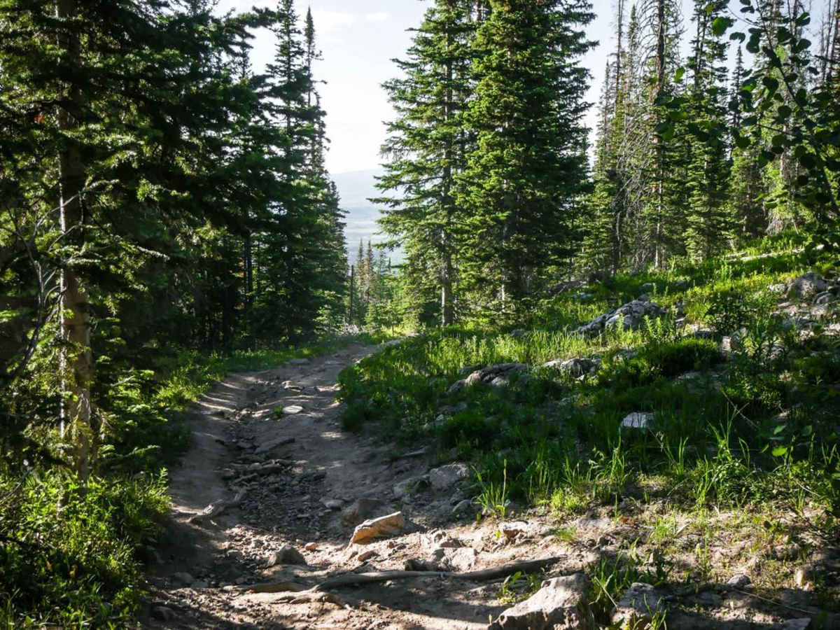 Hahn's Peak photo 5