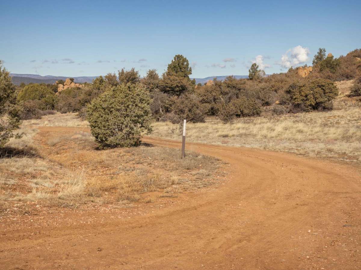 FR 9822C trail photo