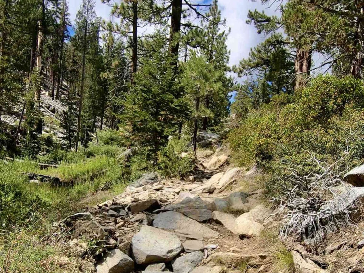 Beach Trail photo 5