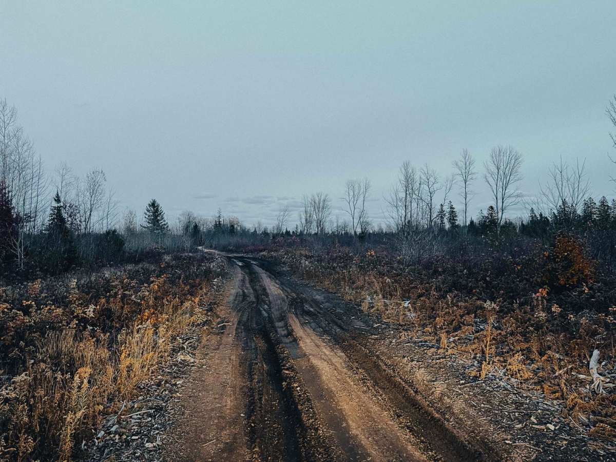 Westman Lake Logging Route photo 2