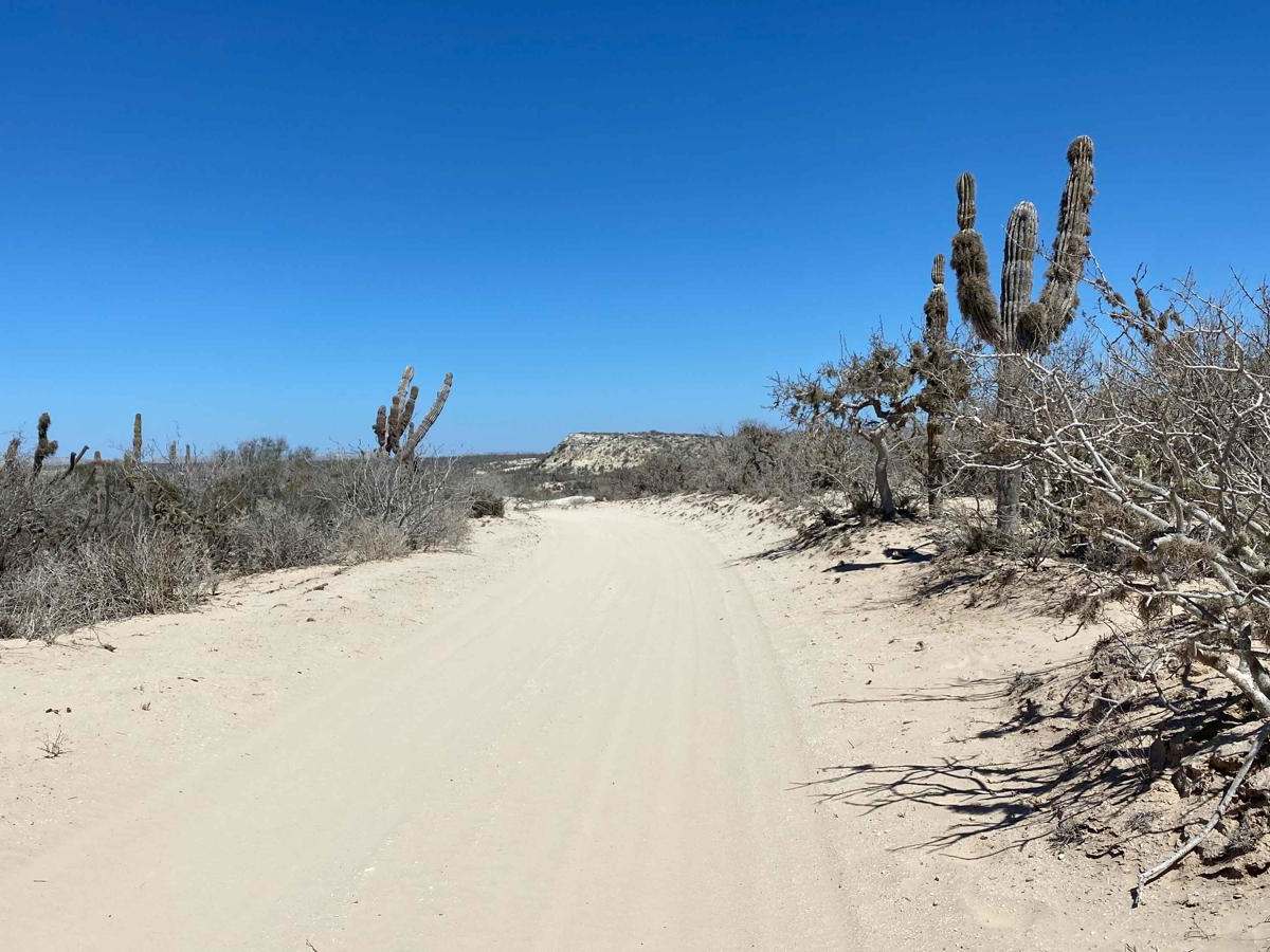 El Chaparral photo 3