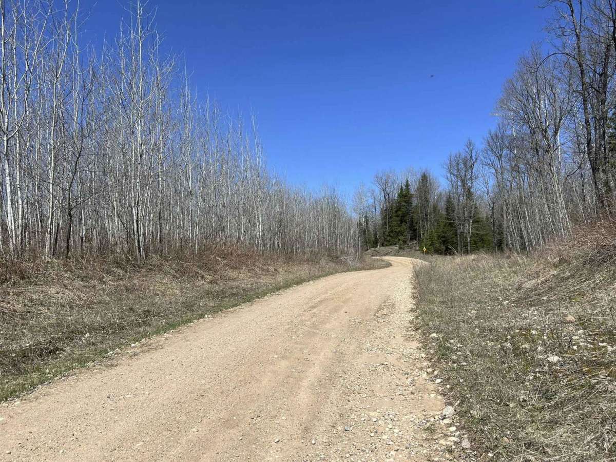 Black Creek Trail/ FR N3015 trail photo