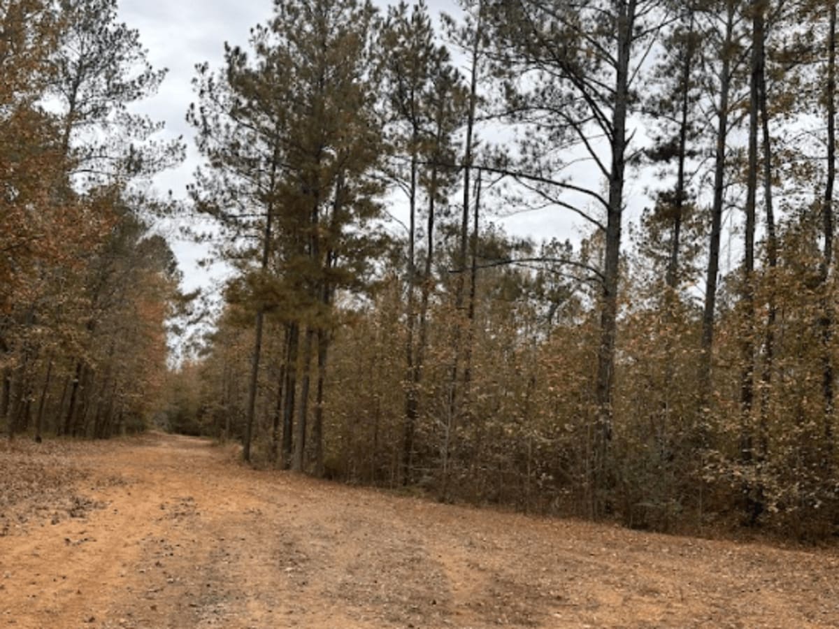 17 trail photo