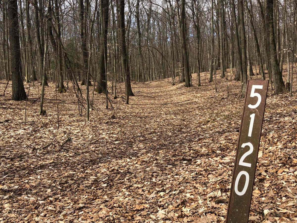 NFS Road 5120 trail photo