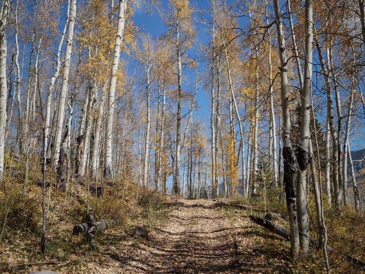 Cowboy Lakes ATV photo 4