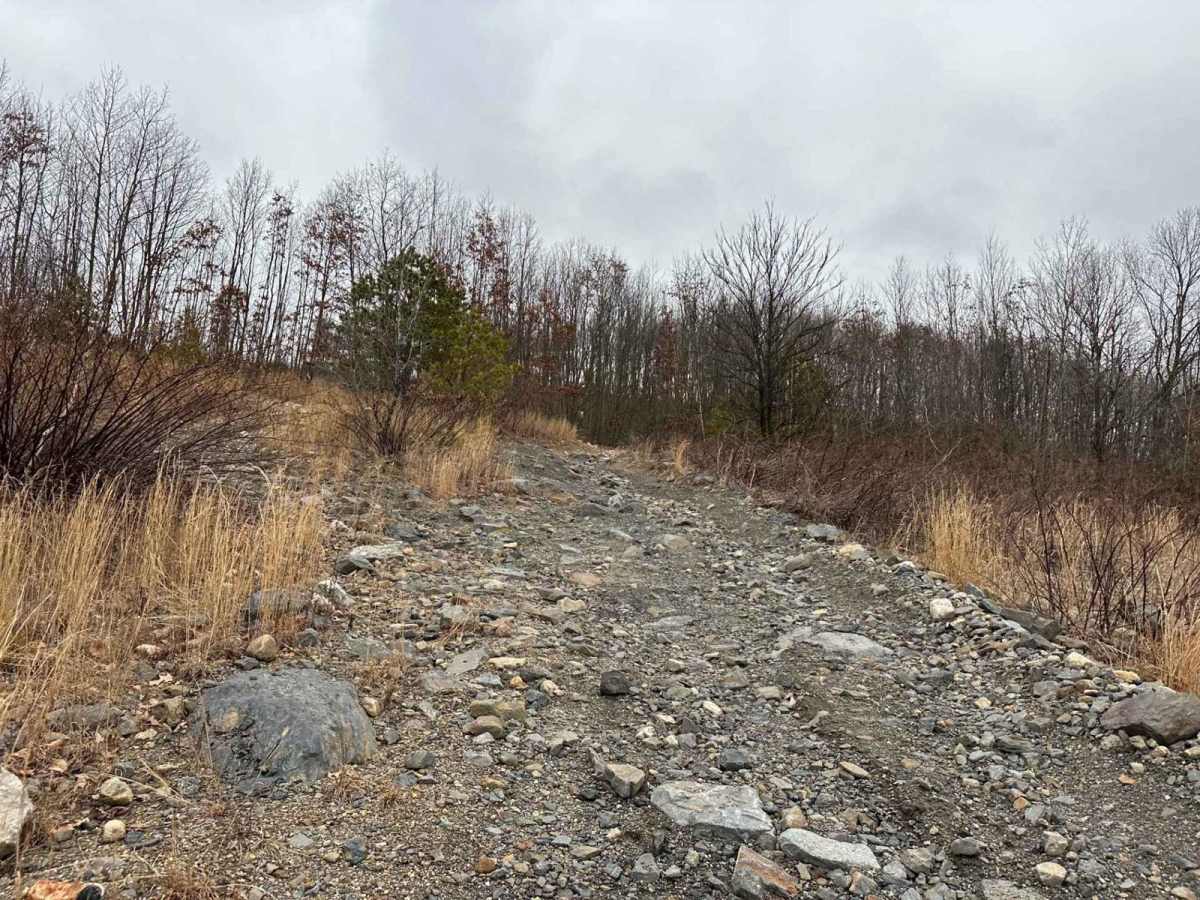 Marion Bridge Trail trail photo