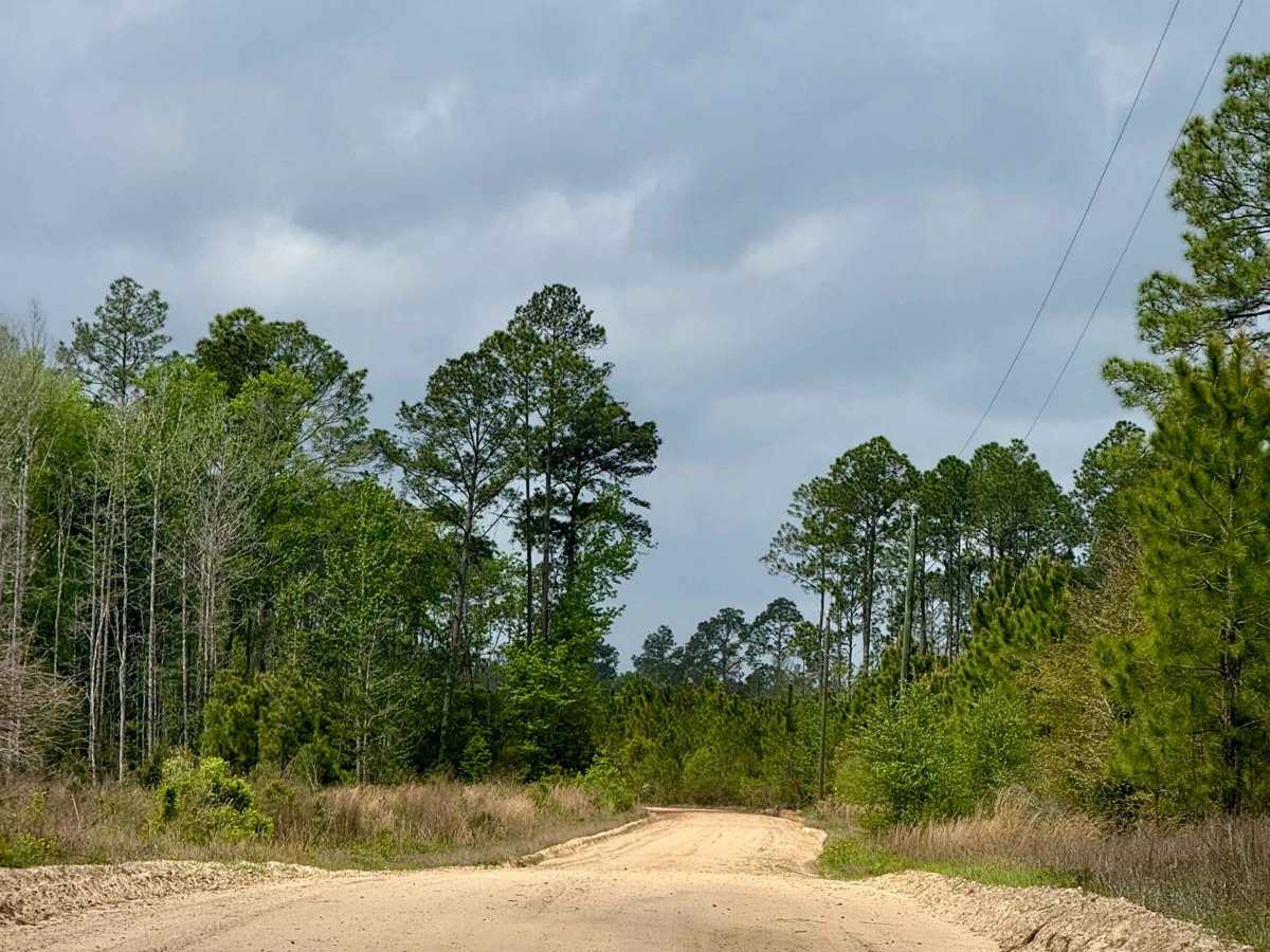 Mercer - FS 187 photo 2
