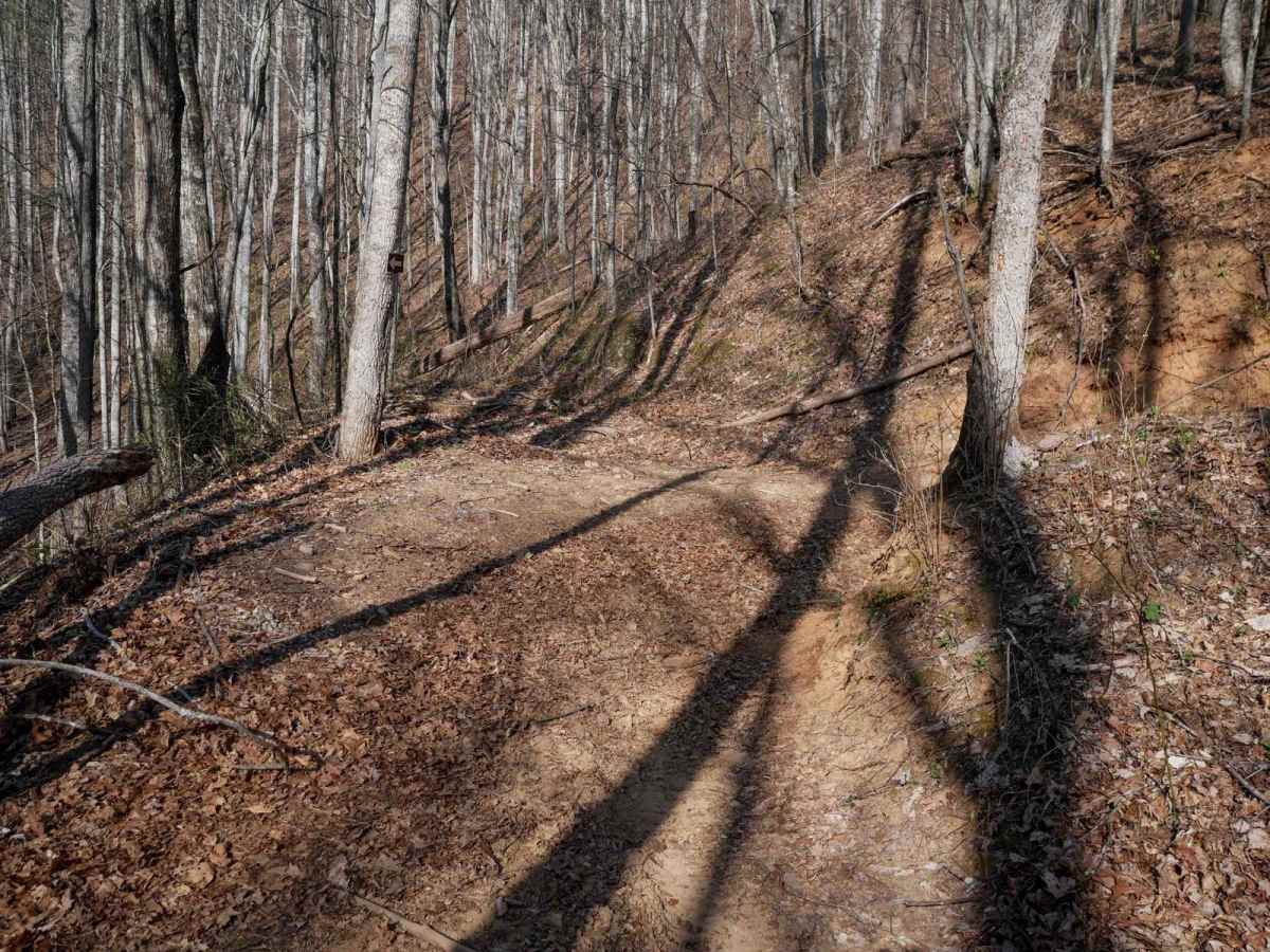 Sunset Ridge Trail 6 photo 3