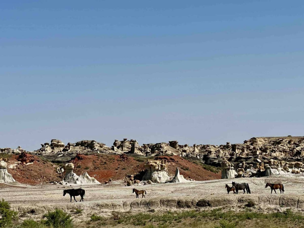 Valley of Dreams East photo 2