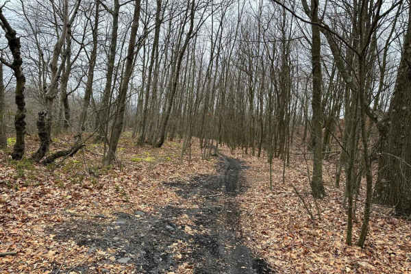 Darkwater Single Track 6