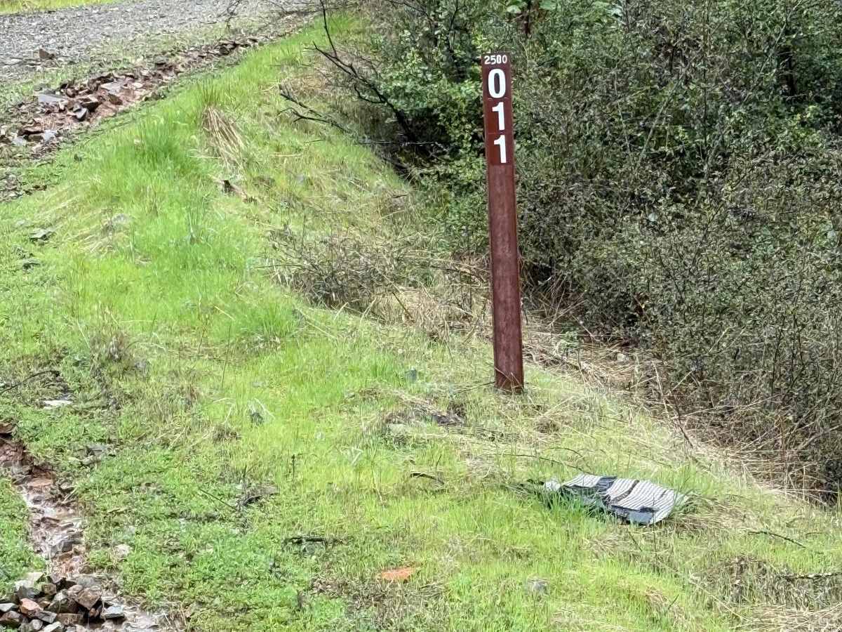 Taylor Ridge Road trail photo