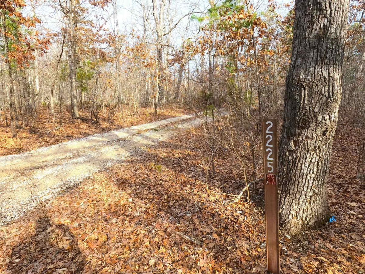 Trace Branch - FS 2225 photo 2