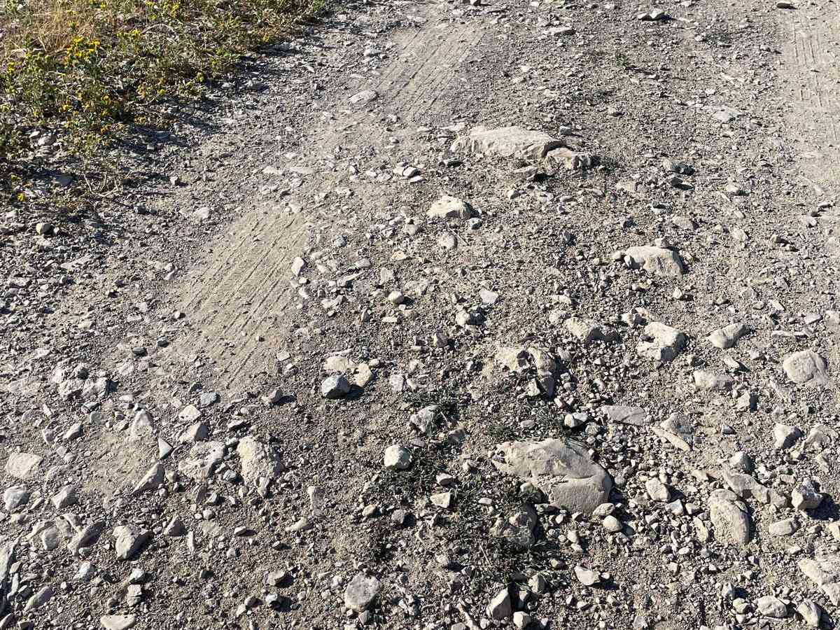 Bates Canyon Trail photo 5