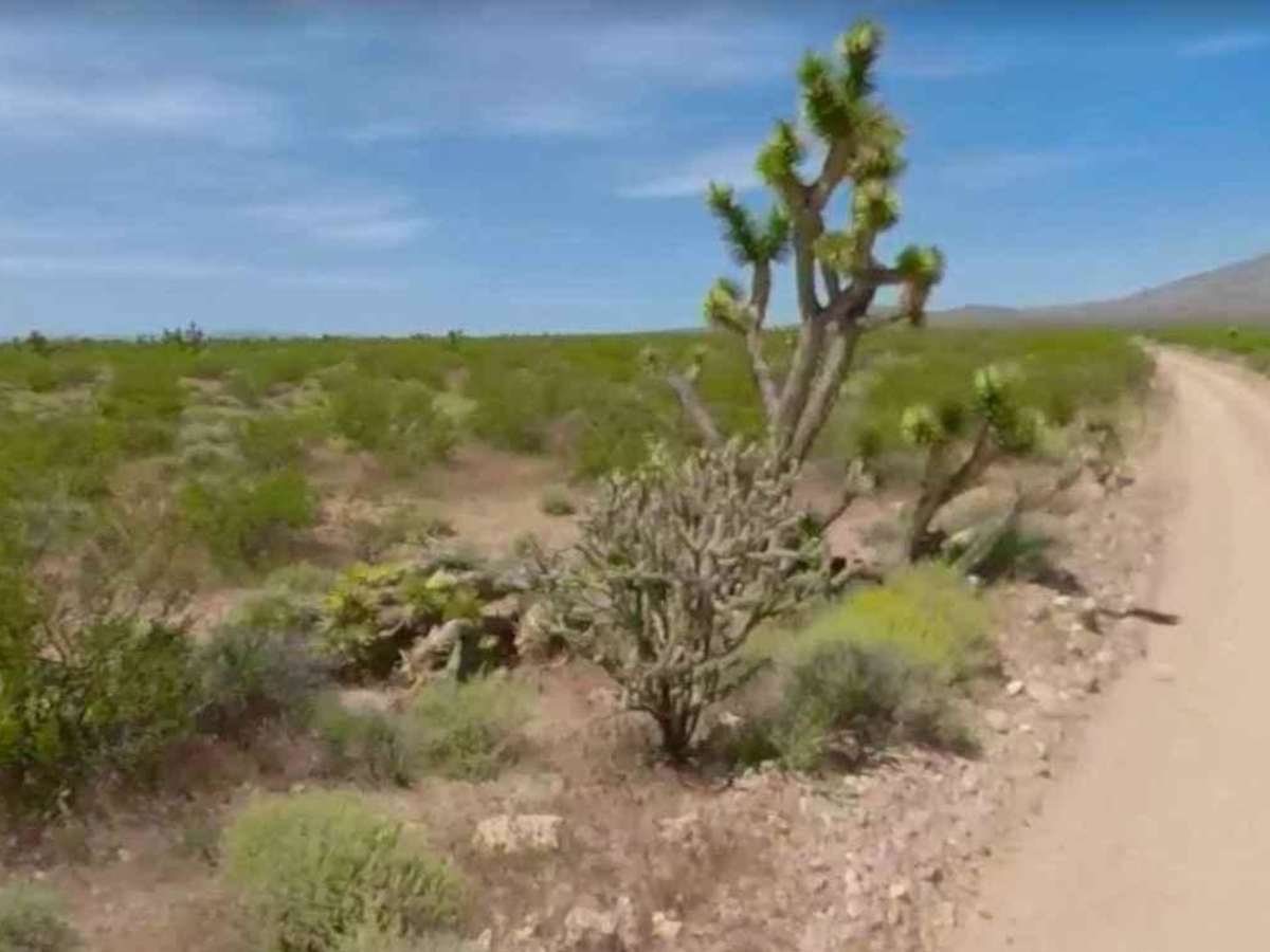 Waterline Road-BLM30095 photo 4