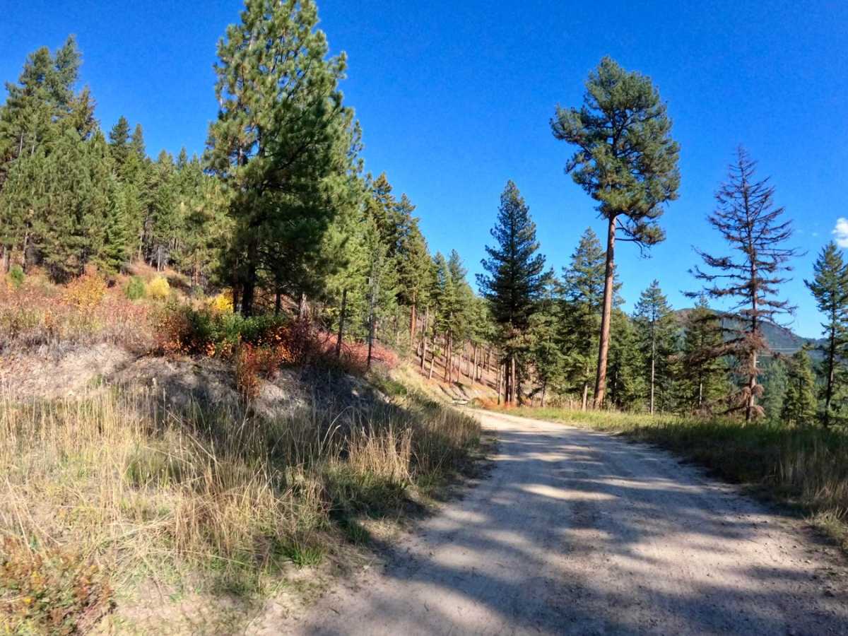 Sloway Gulch Road-Keystone Peak photo 5