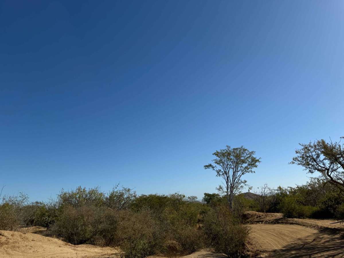Pista de Salto photo 3