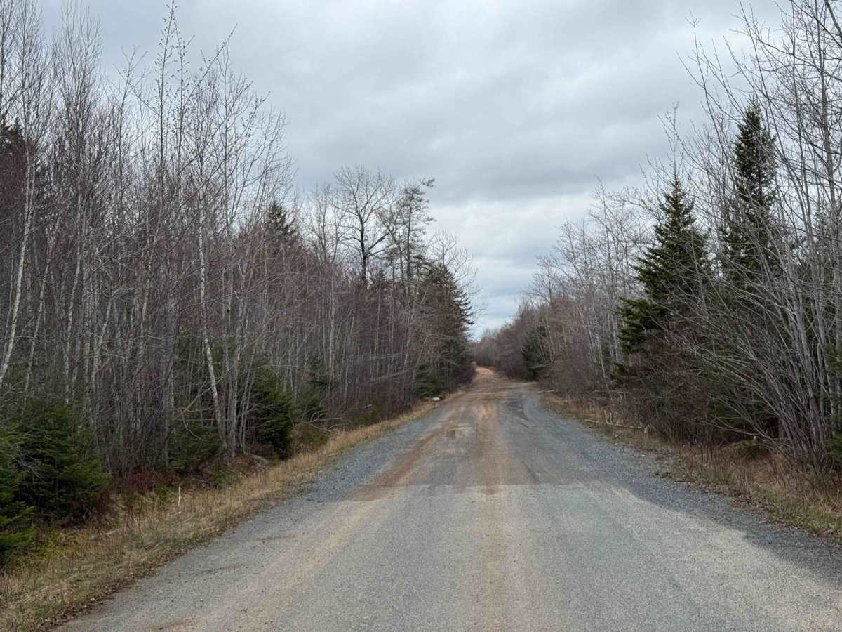Straight Road Trail photo 2