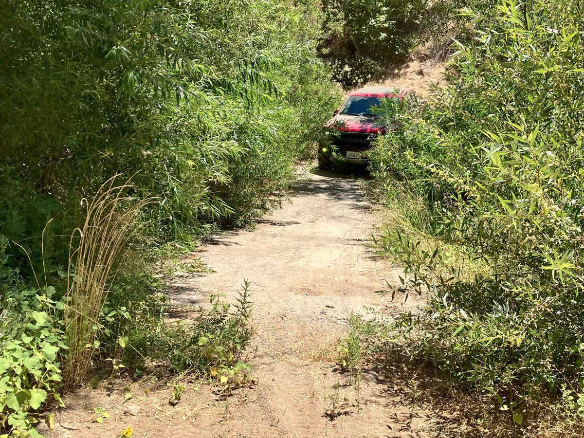 Cedar Creek Loop photo 3