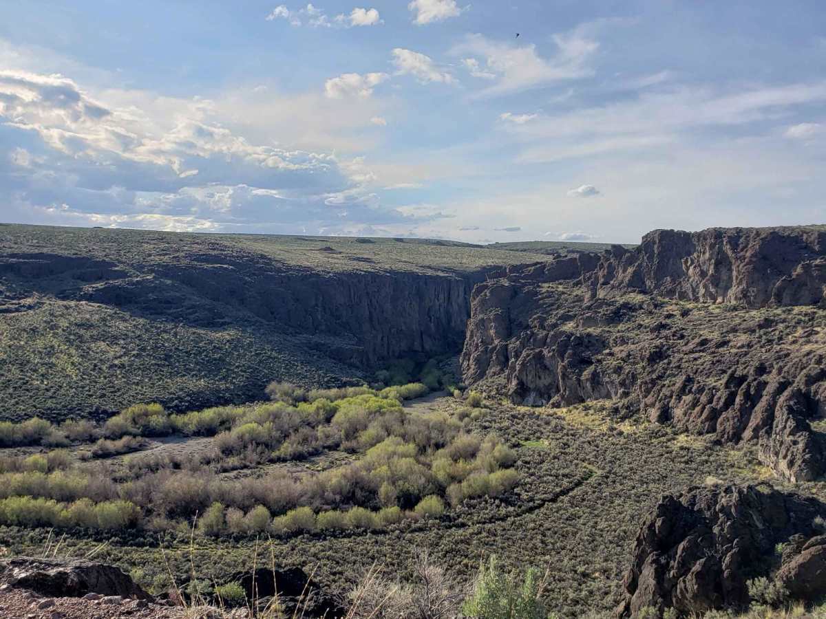 Tent Creek Road trail photo