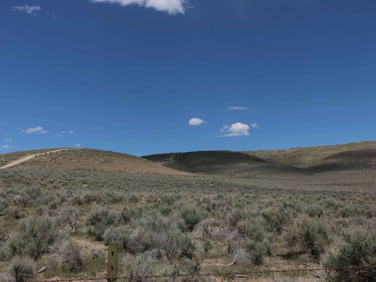 Lake Mountain Block Road photo 5