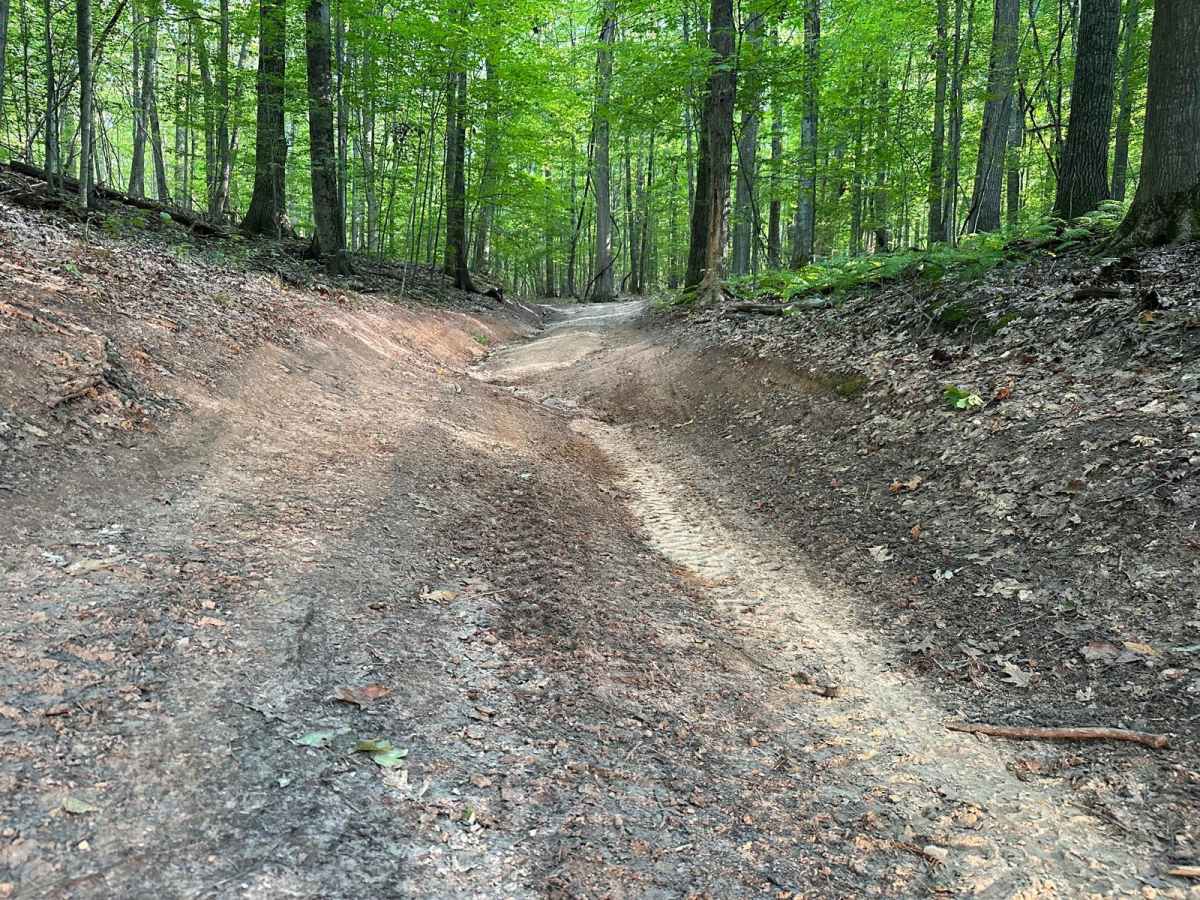 Ditch Dawgs FS 5152 photo 3