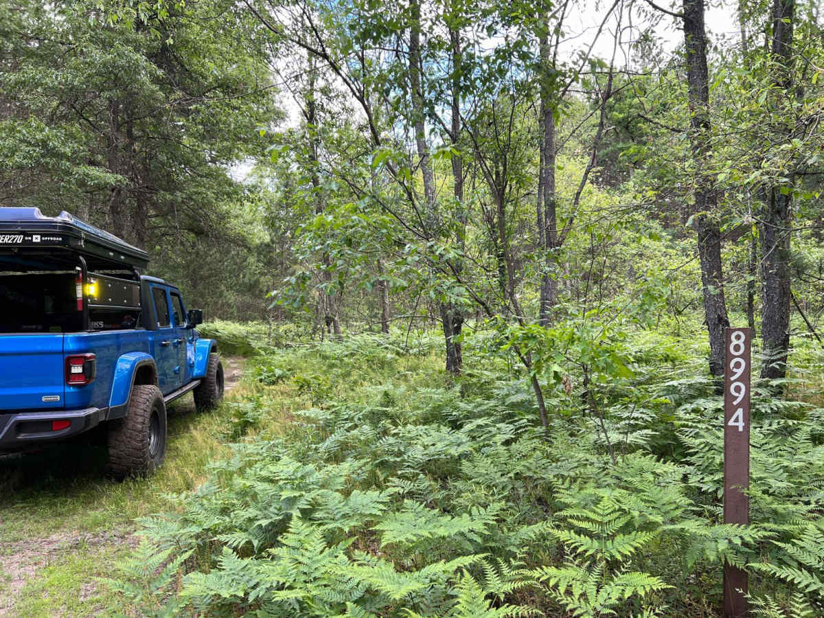 NFS 8994 trail photo