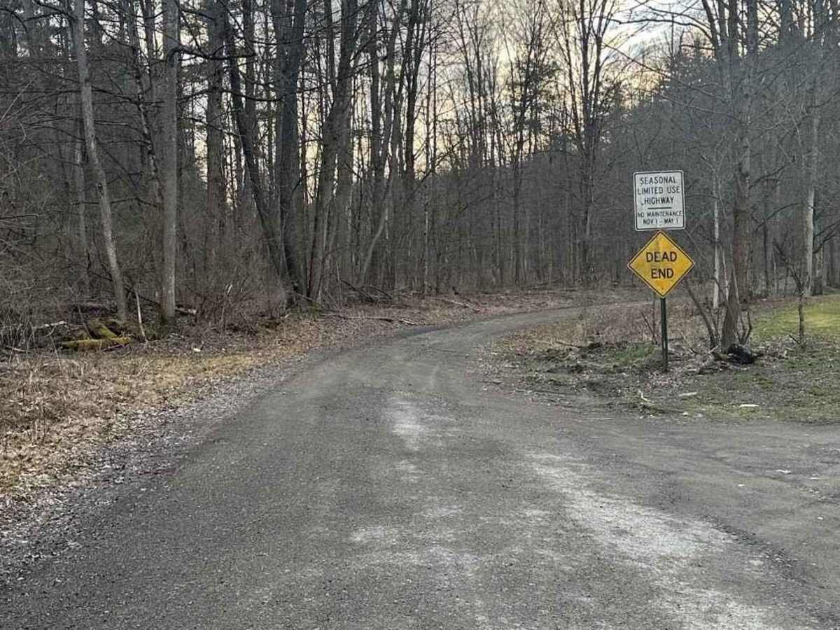 Hamilton Road (Seasonal) trail photo